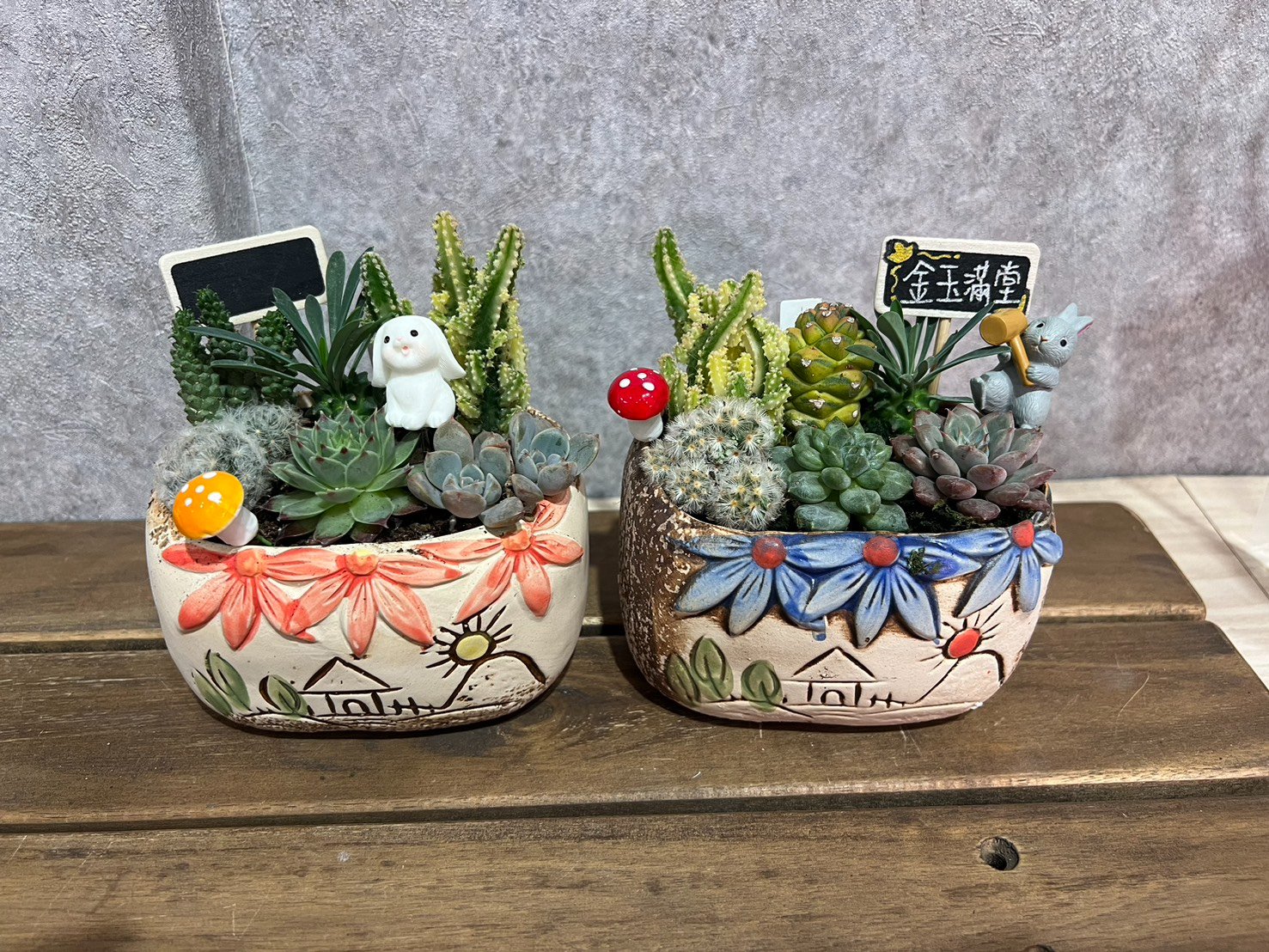 高雄多肉造型多肉盆