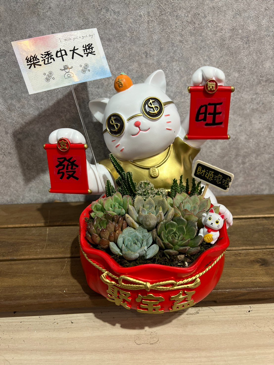 高雄多肉舉雙牌-啪哩啪哩招財聚寶盆