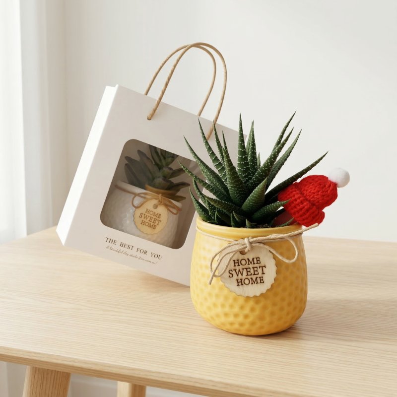 高雄多肉貼心禮品設計｜小草瓶五星好評