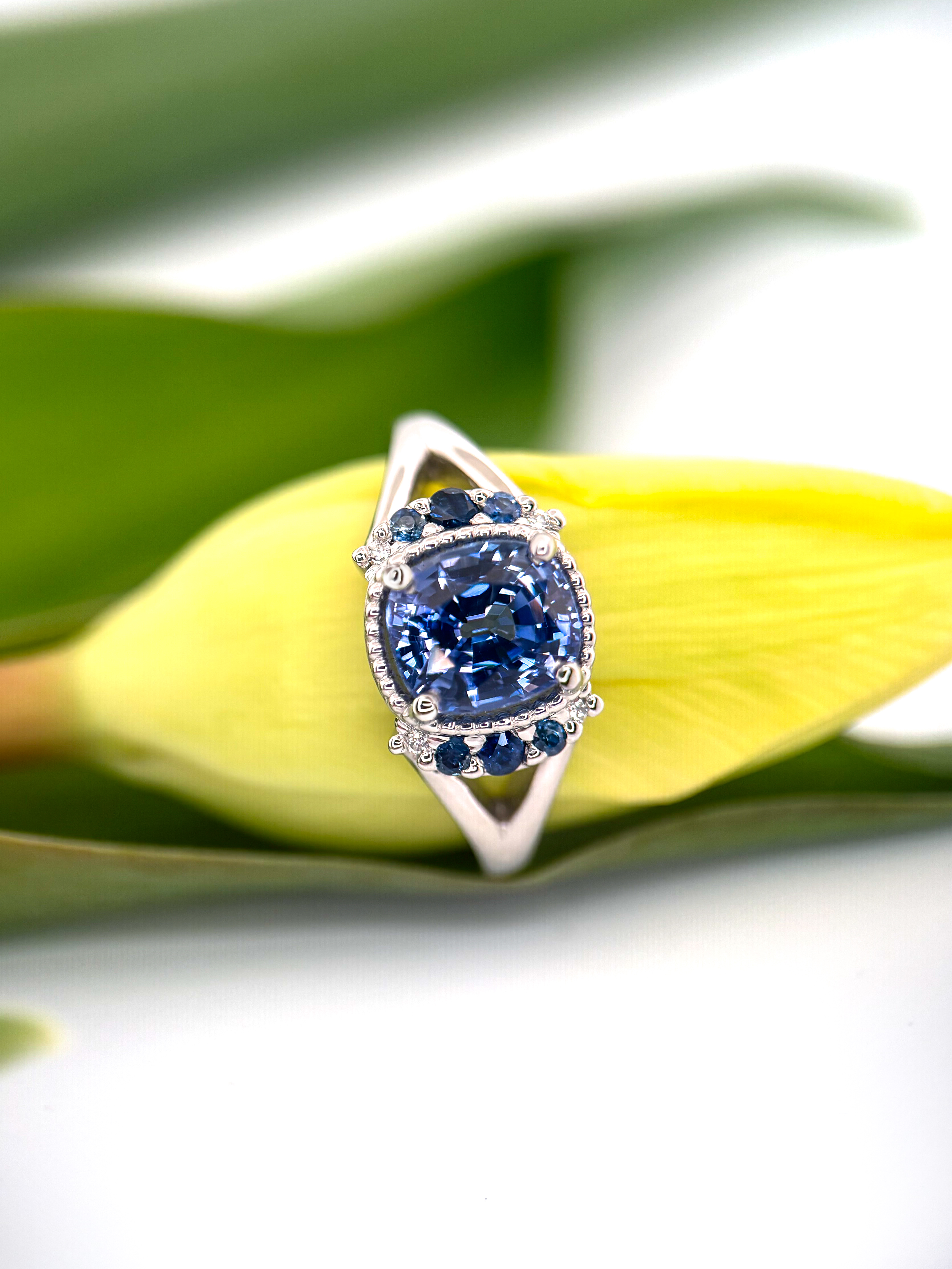 Ginger and James gallery image 3