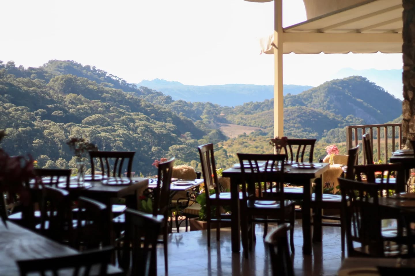 Armonía y naturaleza en Villa Nogal