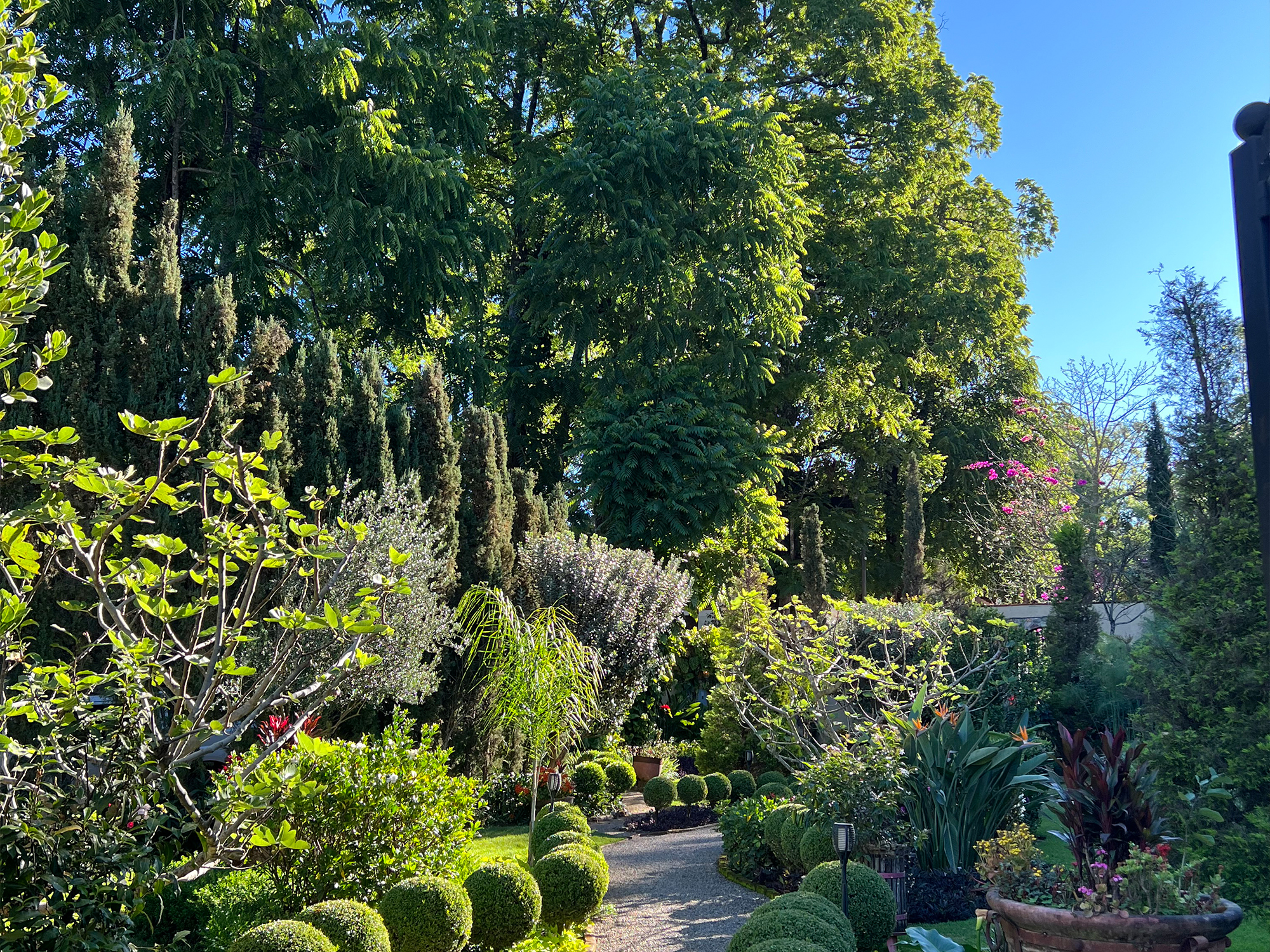 Platillo del restaurante 2
