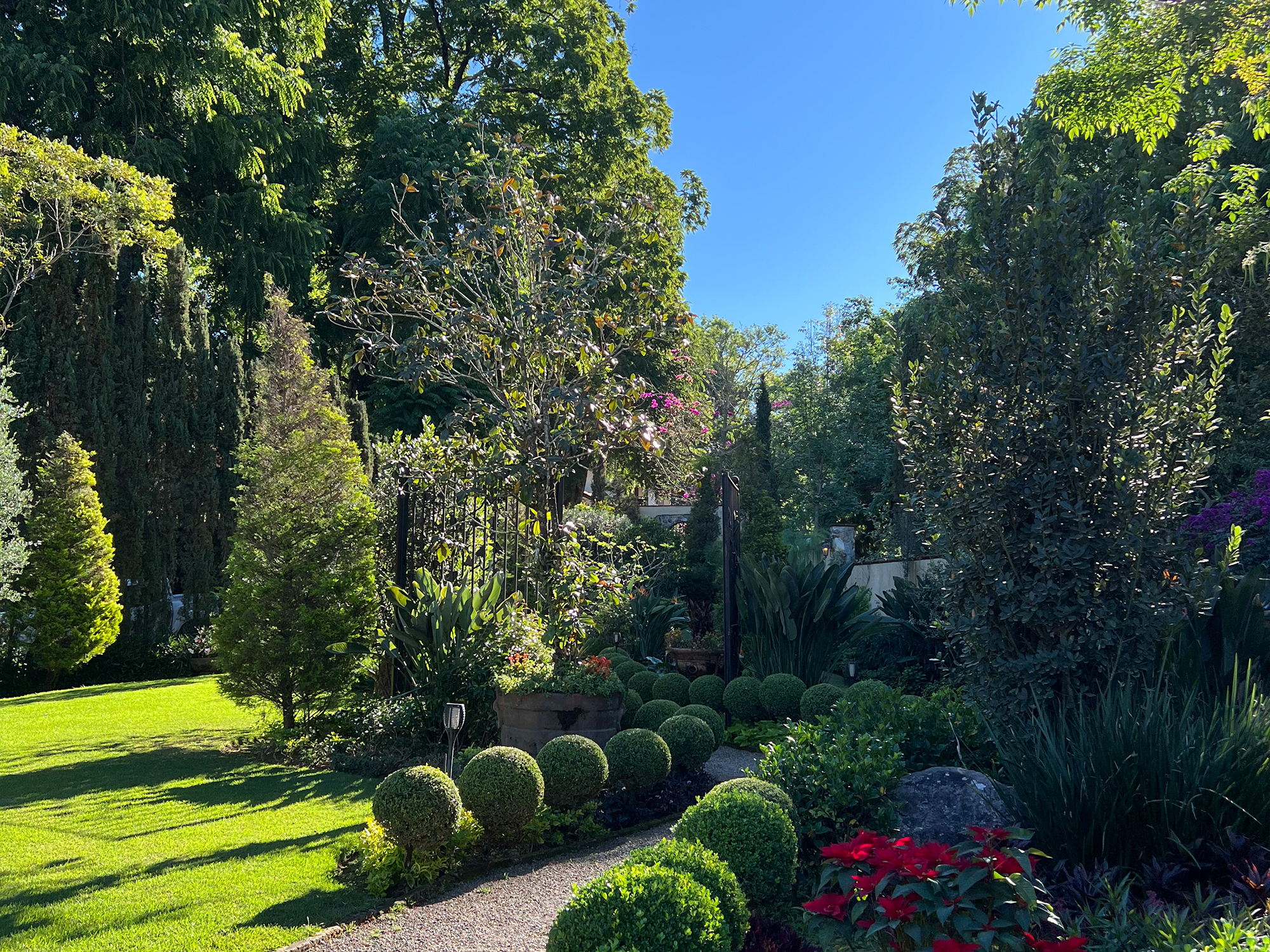 Platillo del restaurante 3