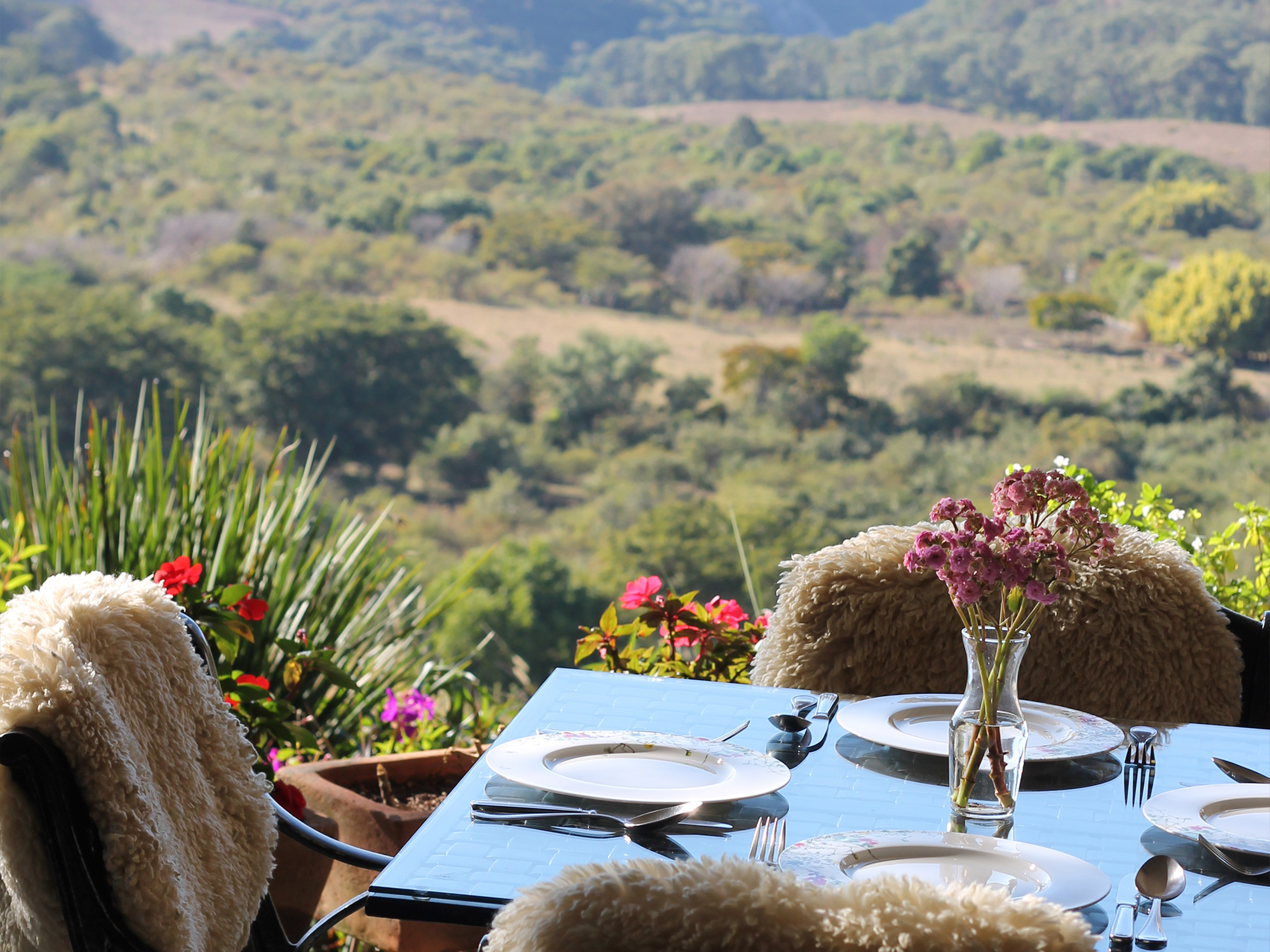 Platillo del restaurante 6