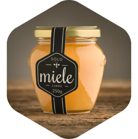 Miele Cardo
