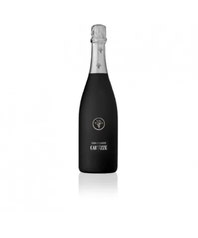 Valdobbiadene Prosecco Sup. Dry Cartizze
