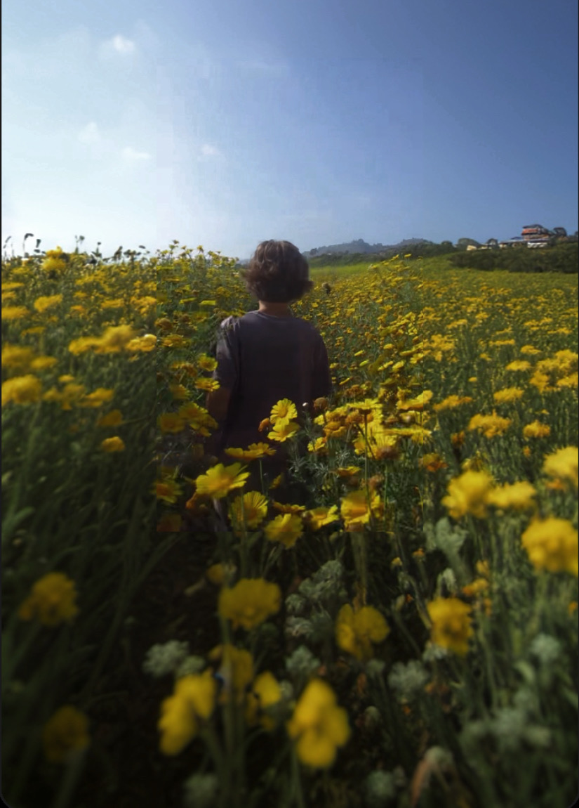 Dylan Bible