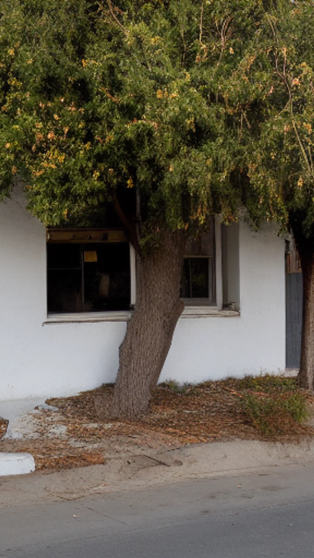 5 Essential Handyman Tips for Yuba City Homeowners This Winter in Yuba City, CA: The Complete Guide (2026)