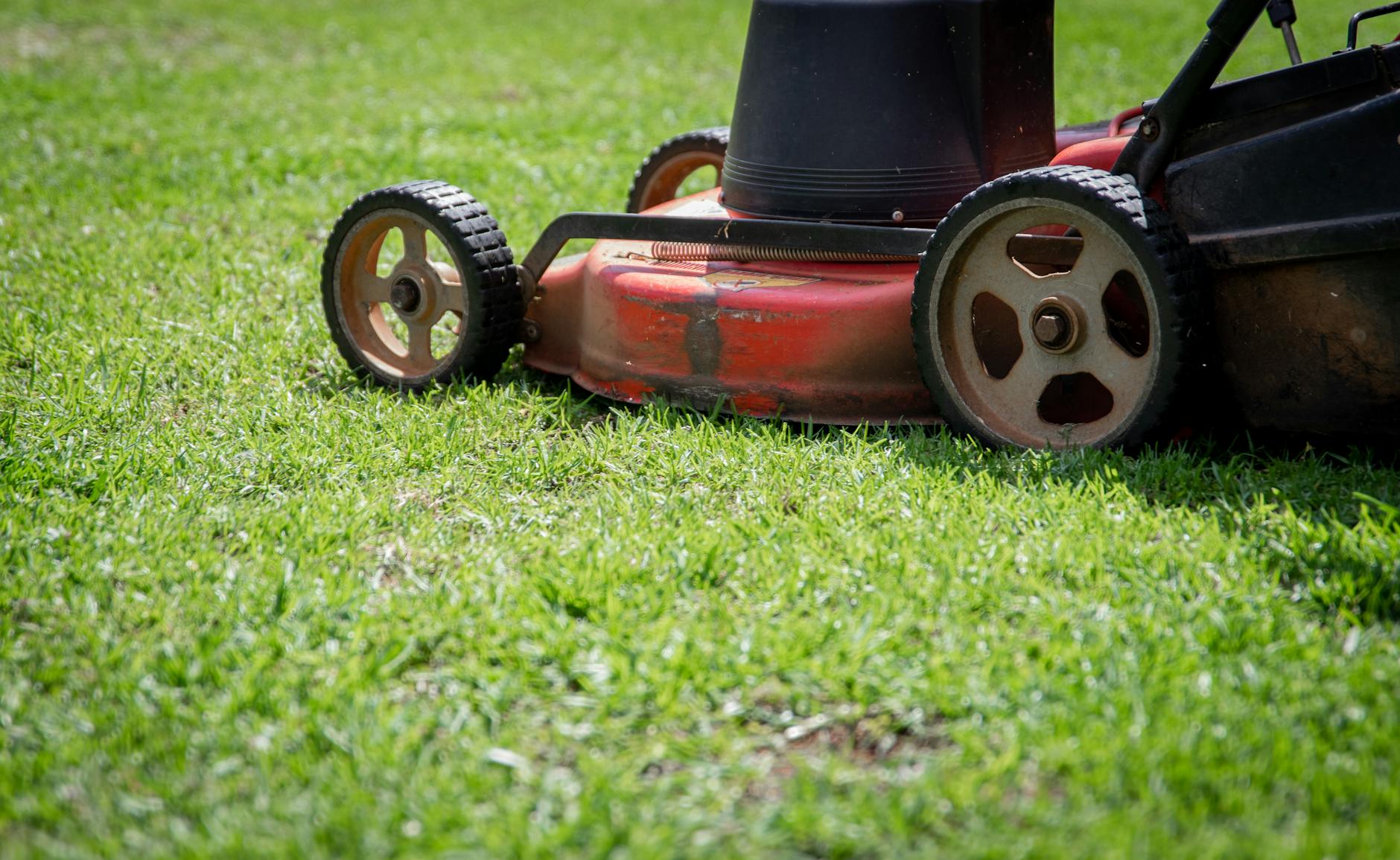 COST_HOOK: Save up to 30% on weekly lawn mowing in Marysville with our flat-rate plan in Yuba City