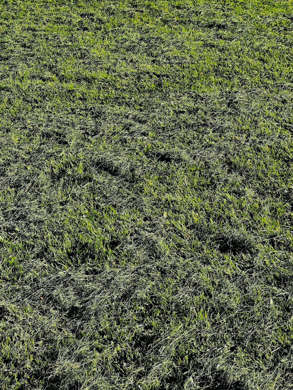 Boxpro Express professional service Yuba City California