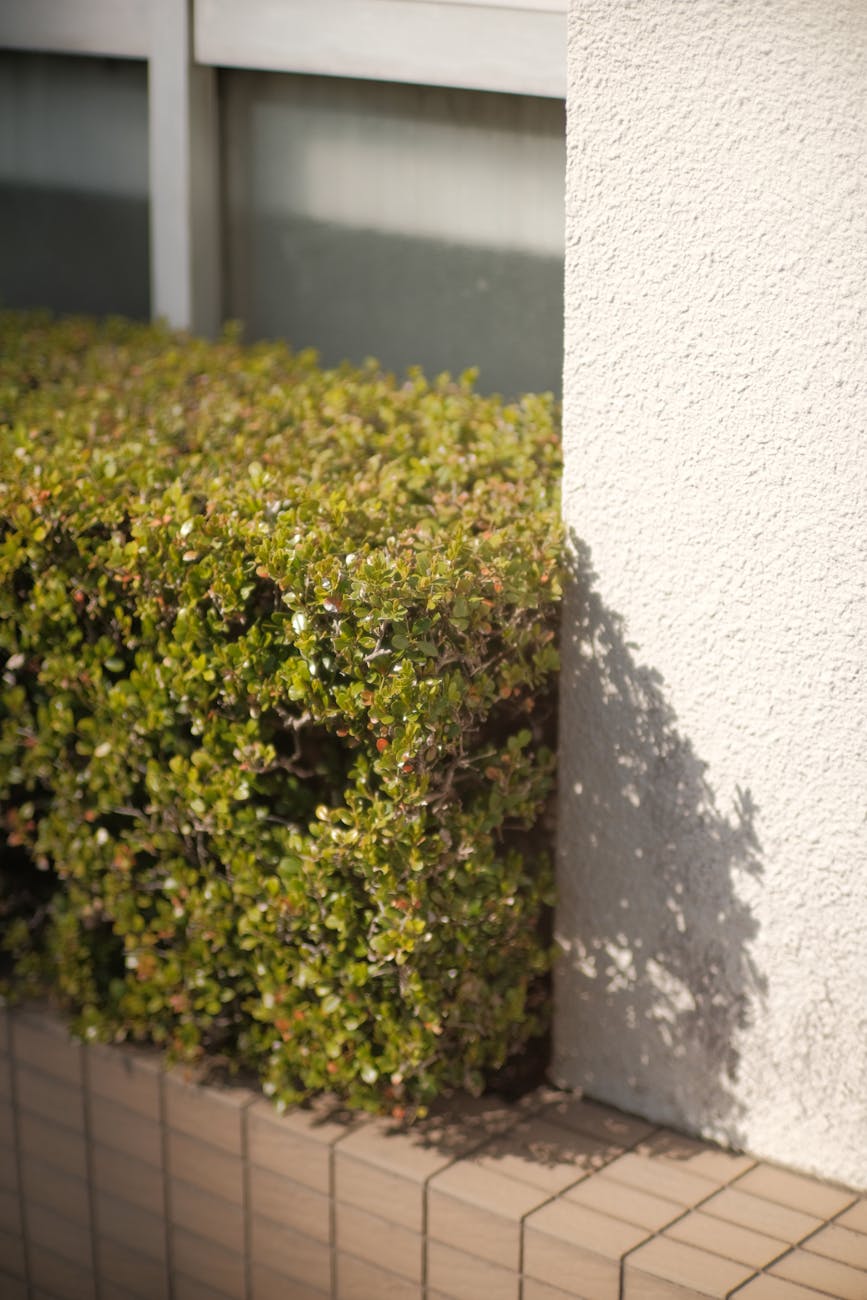 Boxpro Express professional service Yuba City California