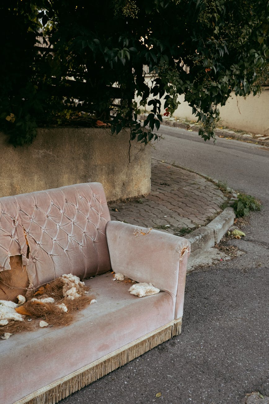 Efficient Junk Removal in Yuba City: Solutions for a Cleaner Community in Yuba City