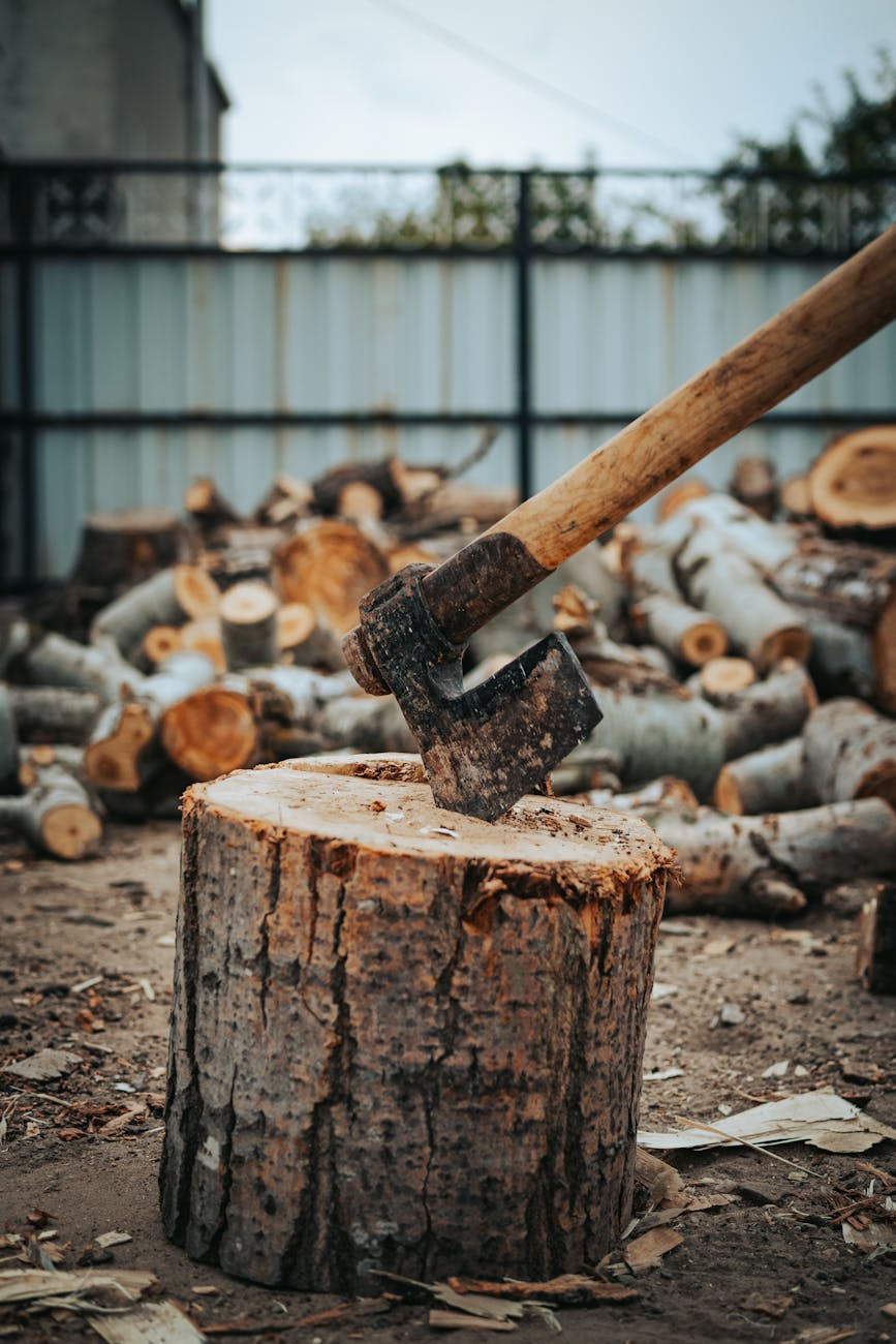 Boxpro Express professional service Yuba City California