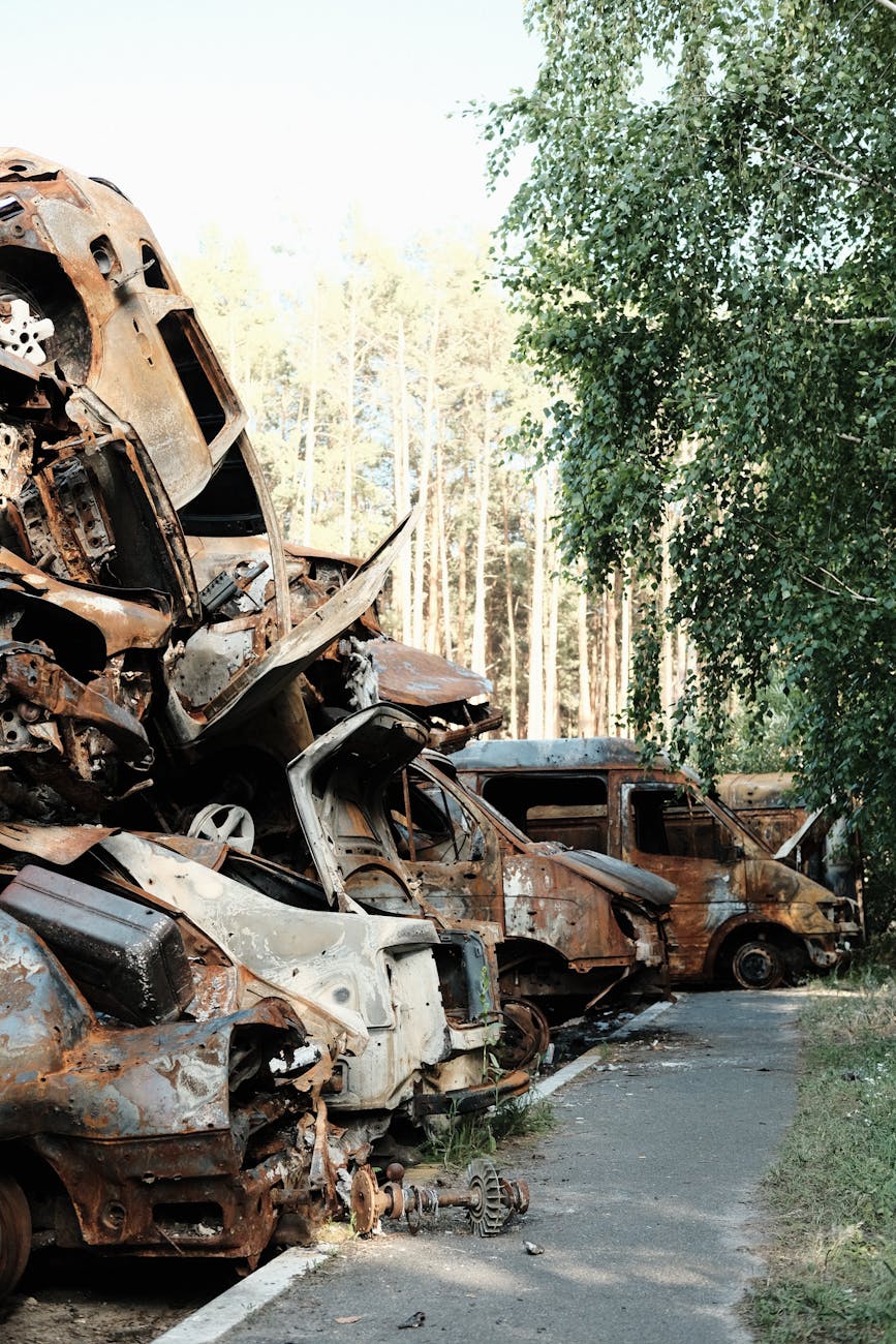 The Live Oak Guide to Junk removal: What You Need to Know in Yuba City