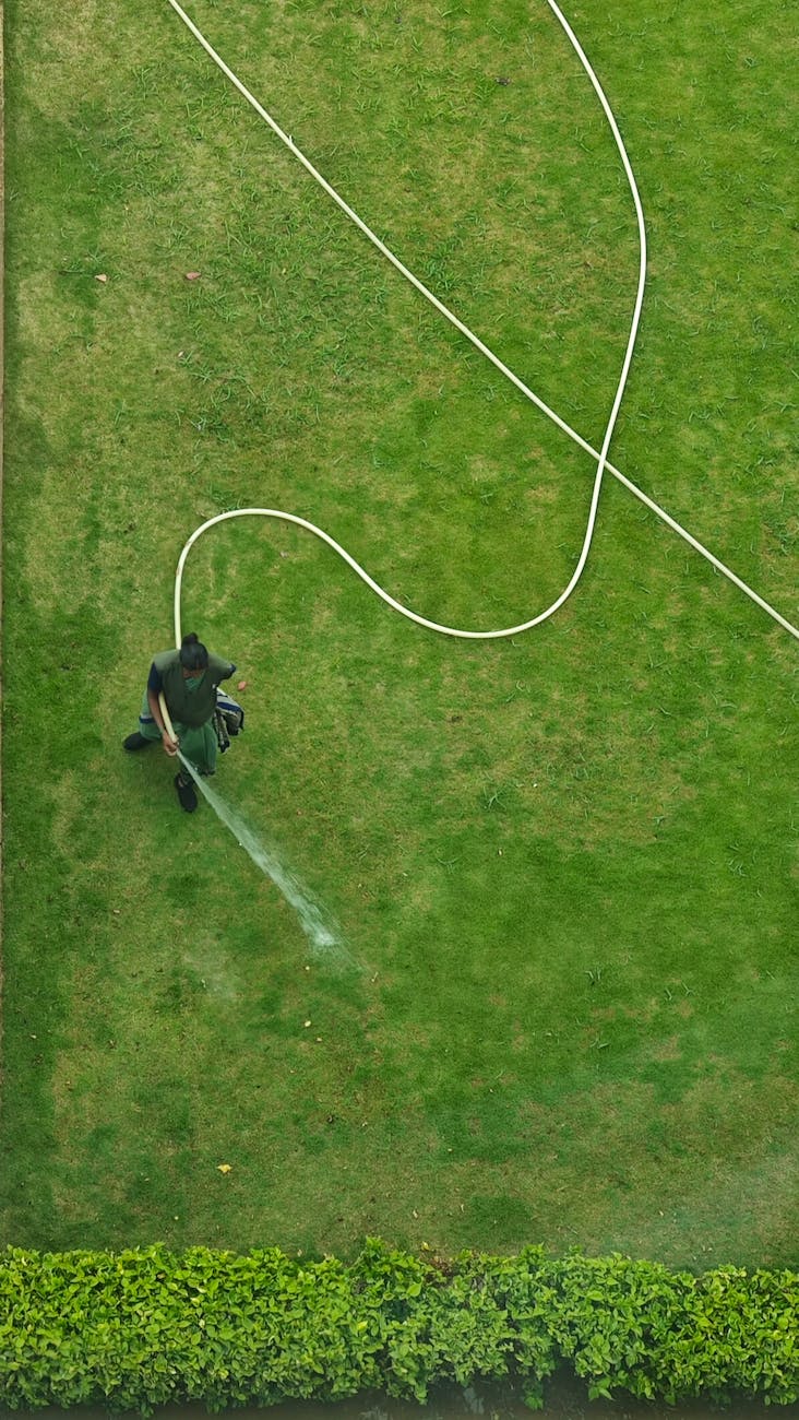 Why is my grass turning brown in Yuba City even though I'm watering every day? | Web Story