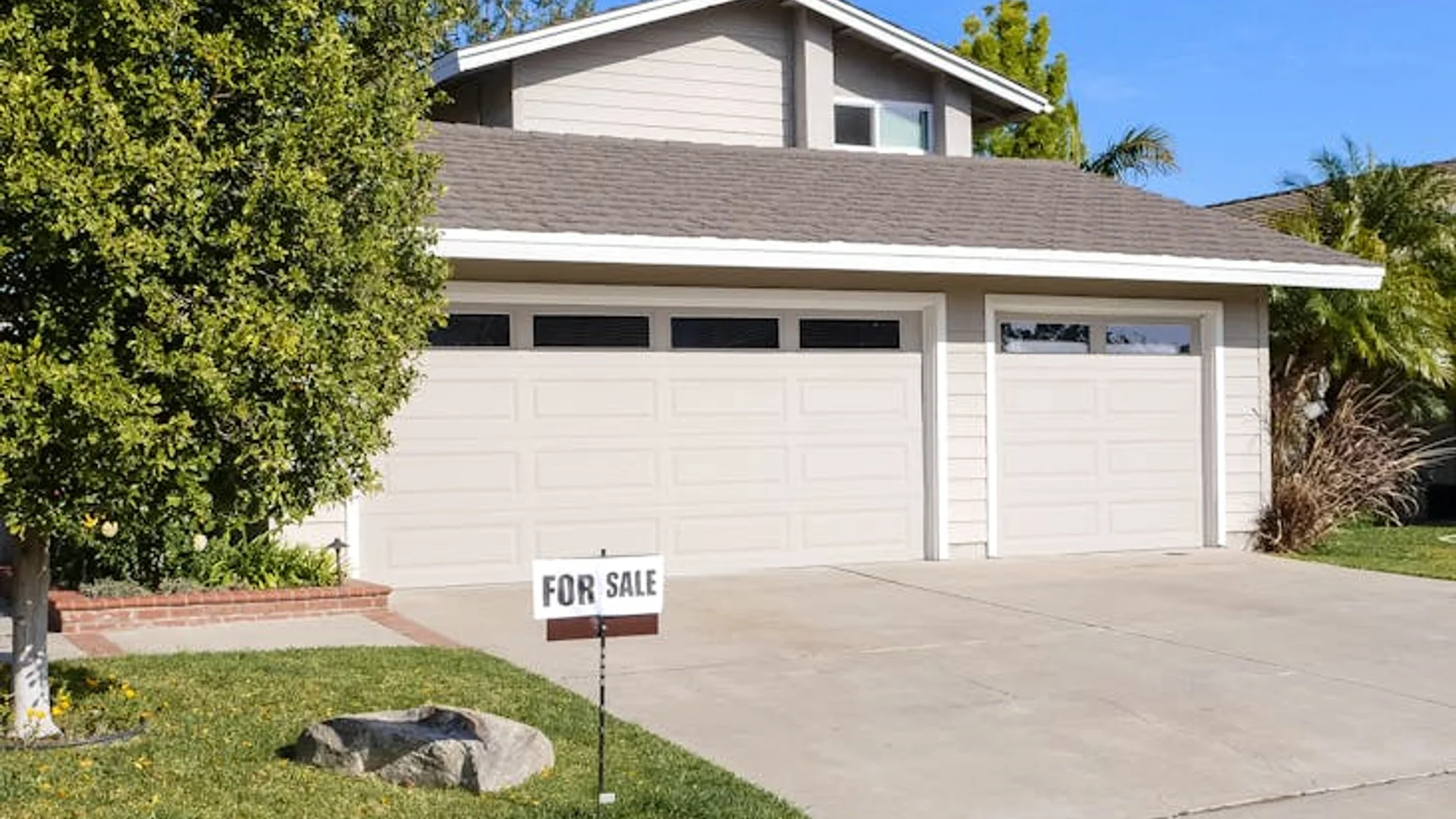 Why is my lawn suddenly full of weeds despite the watering? (The Yuba City Solution) in Yuba City