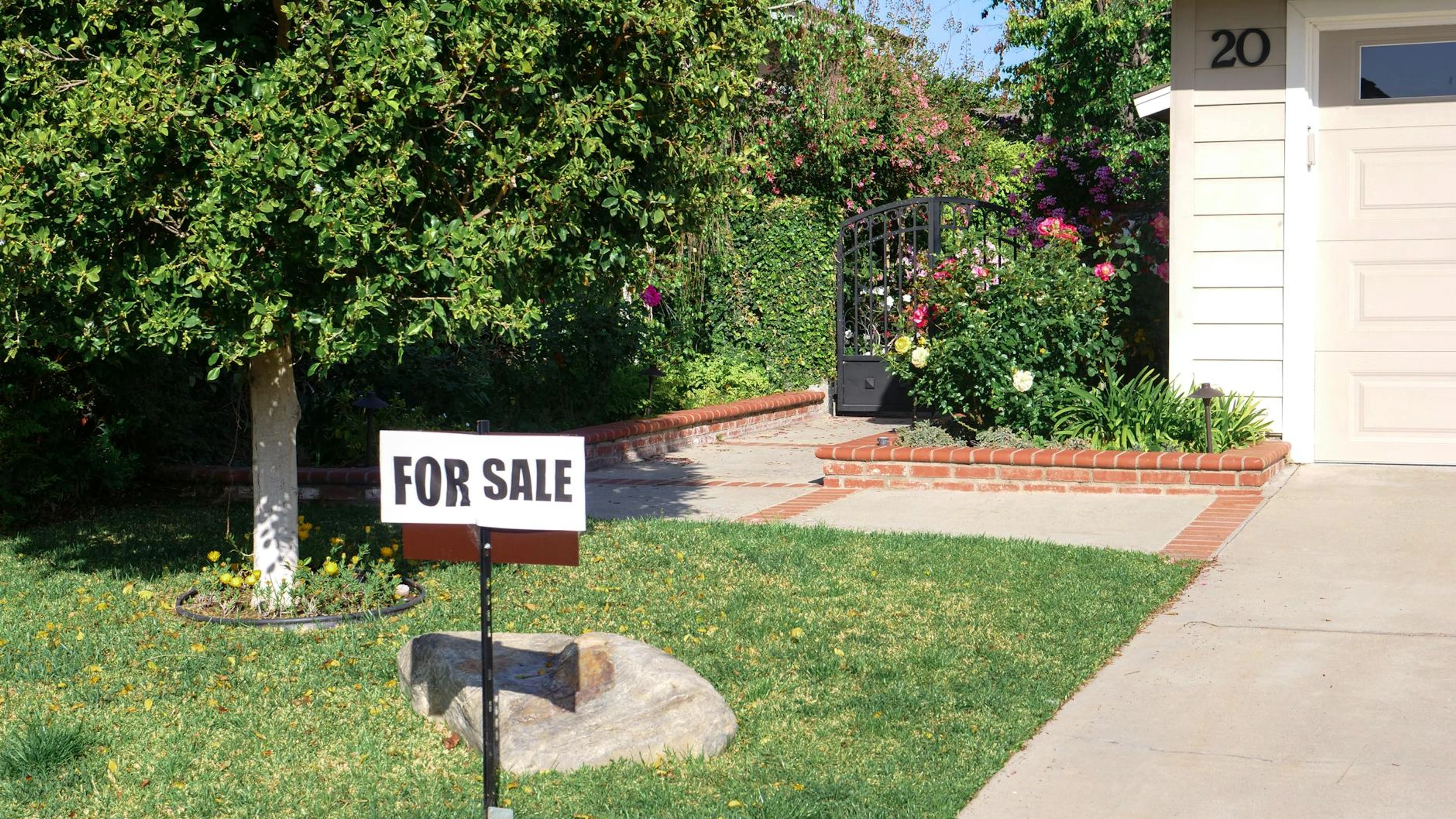 Why Your Front Yard Looks Like a Dust Bowl While Your Neighbor's Stays Lush in Yuba City