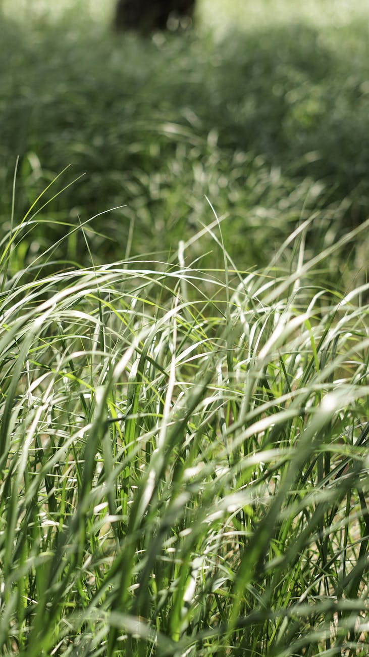 Boxpro Express professional service Yuba City California