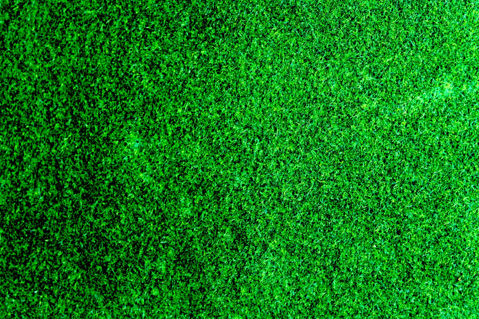 Why Your Yuba City Lawn Is Losing the War Against Invasive Weeds While You're Not Looking in Yuba City