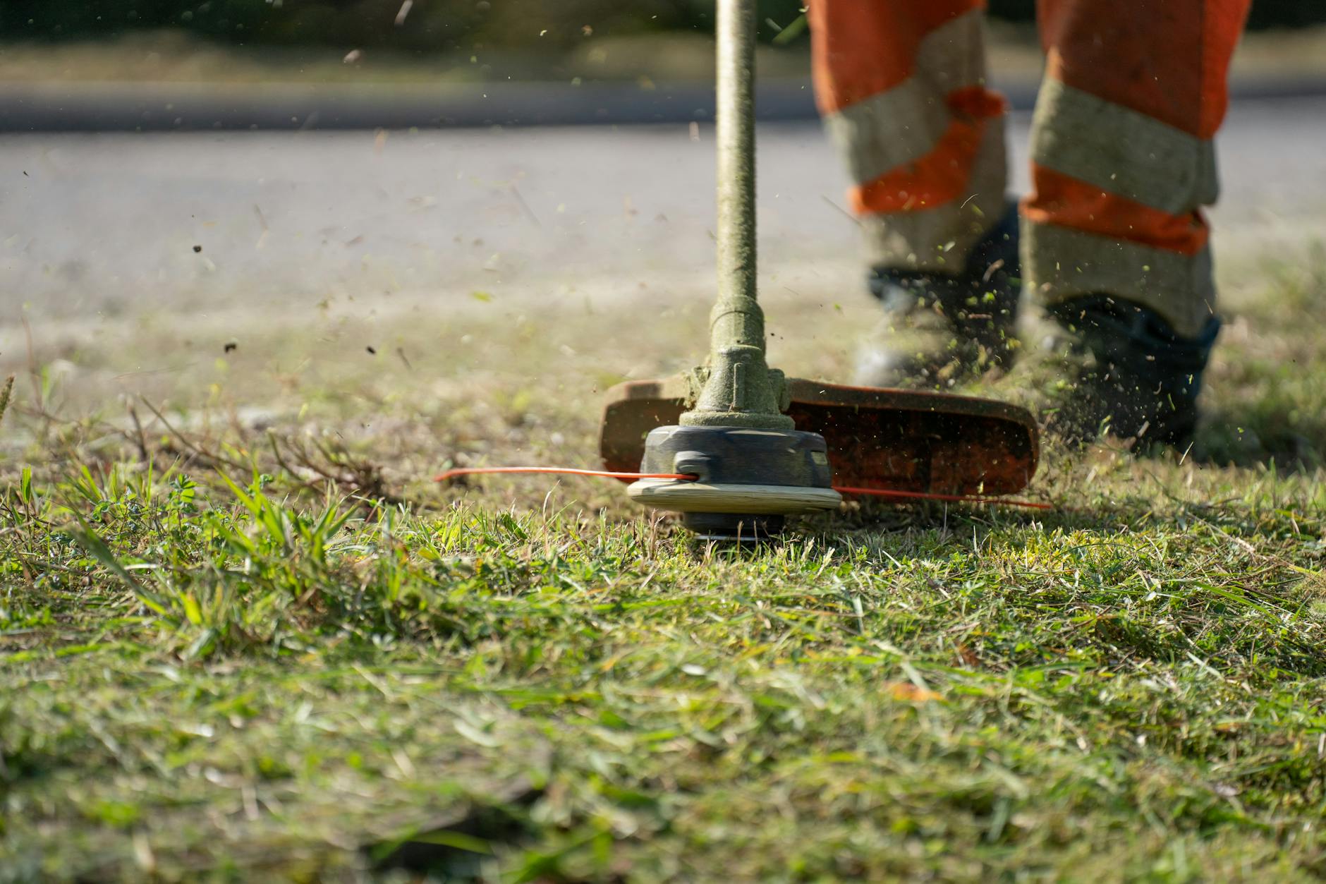 Effective Lawn Care Strategies for a Healthy Yuba City Lawn in Yuba City