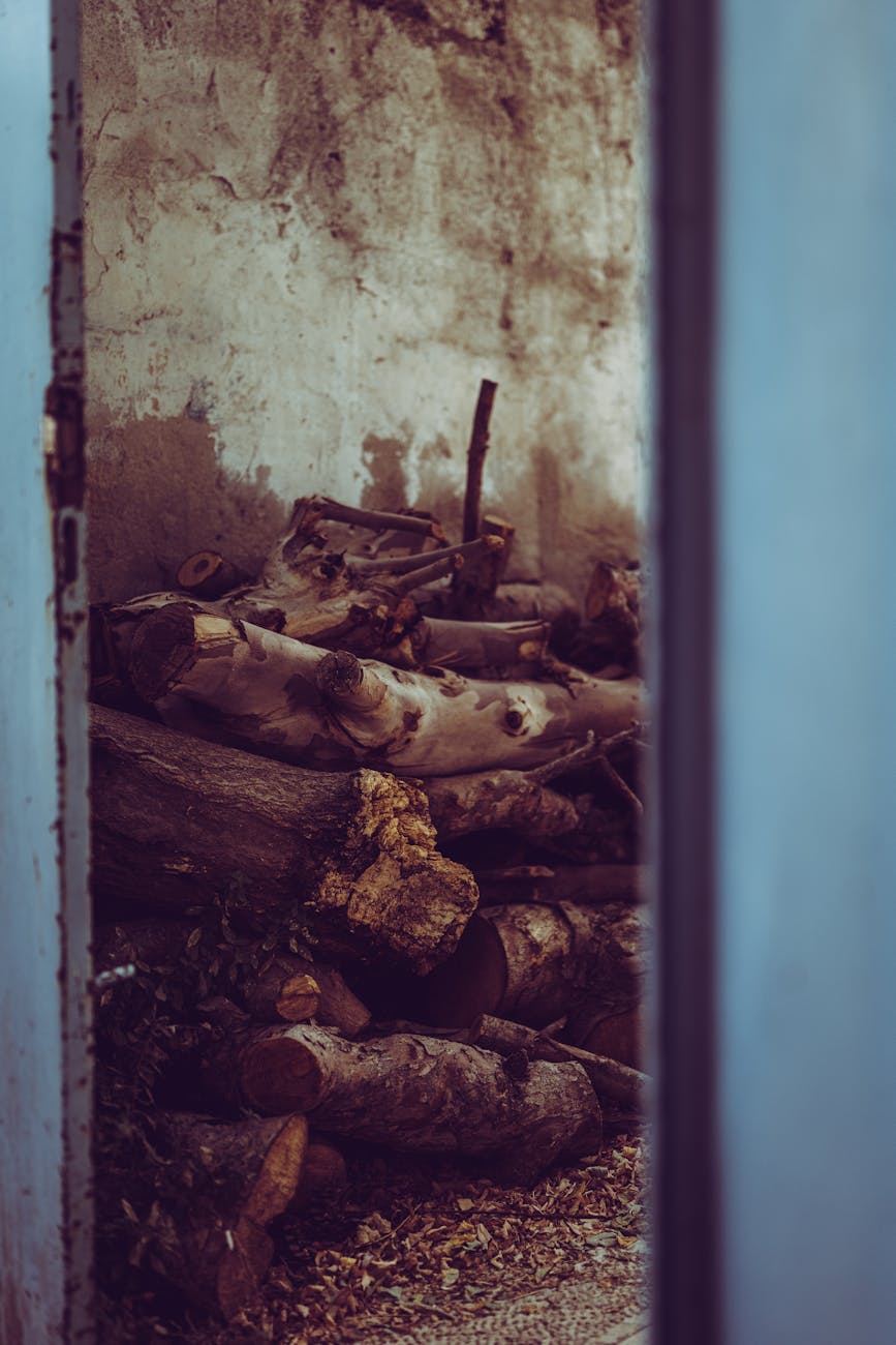 Your Marysville Estate Needs a Cleanout – Don’t Risk Injury or Fines! in Yuba City