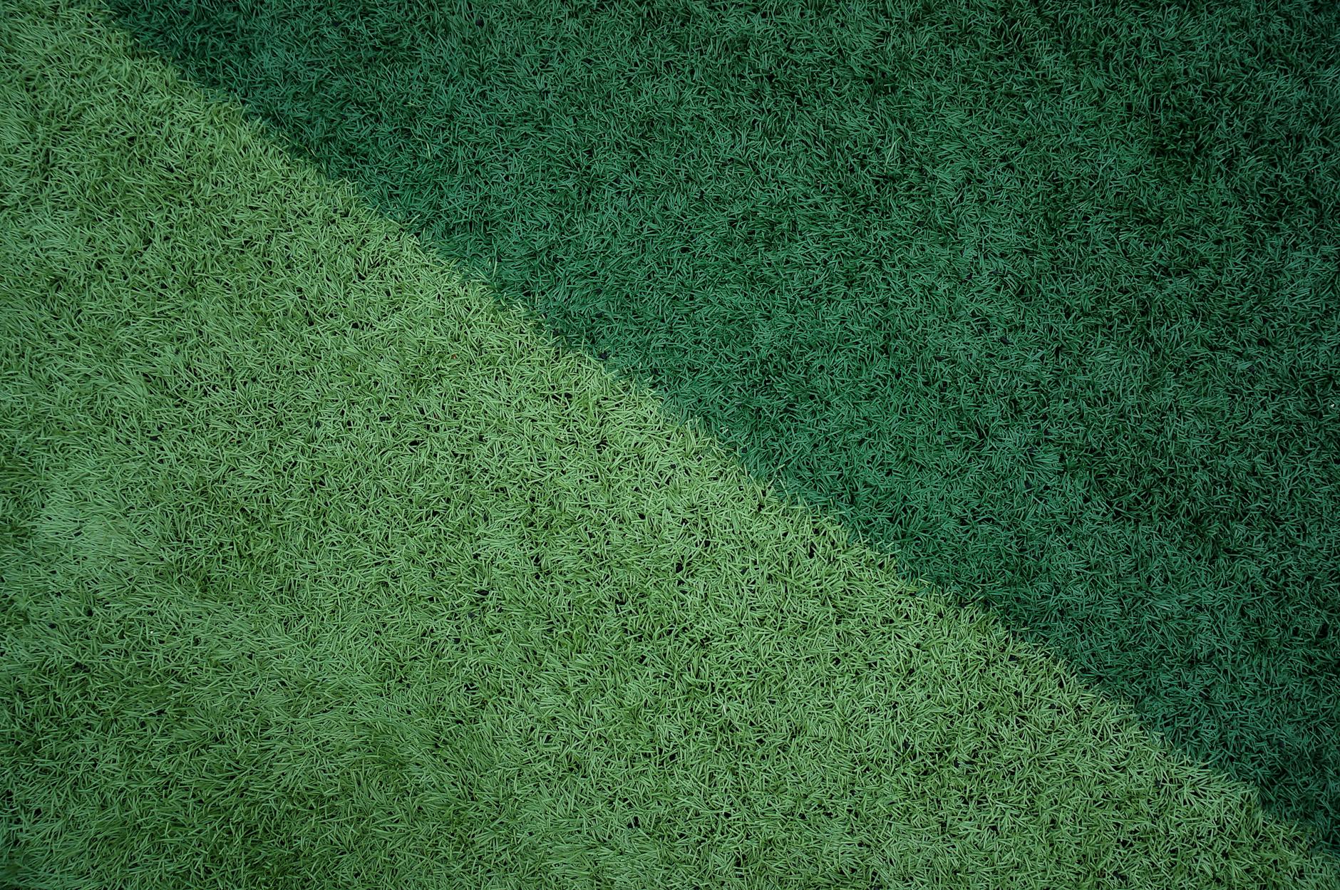 Spring Lawn Care in Yuba City: Getting Your Yard Ready for the Growing Season in Yuba City