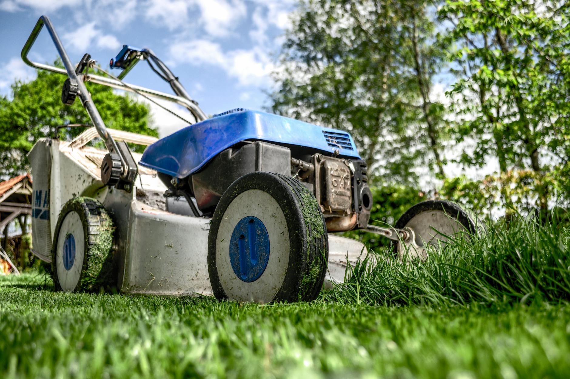 Your Yuba City Lawn is a Magnet for Pests – Stop the Damage Now!