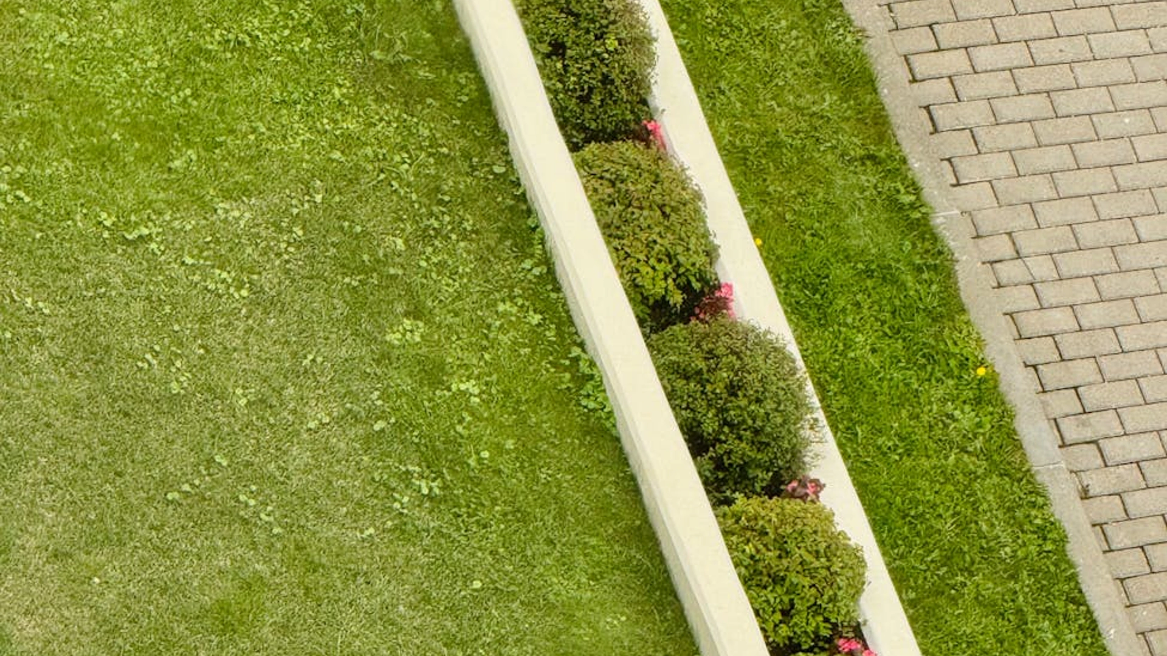 Your Yuba City Lawn is a Magnet for Pests – Stop the Damage Now! in Yuba City