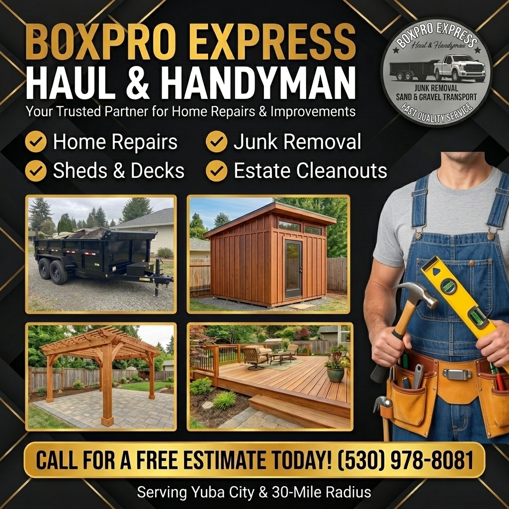 Boxpro Express 8K Commercial Advertisement Showcase Banner