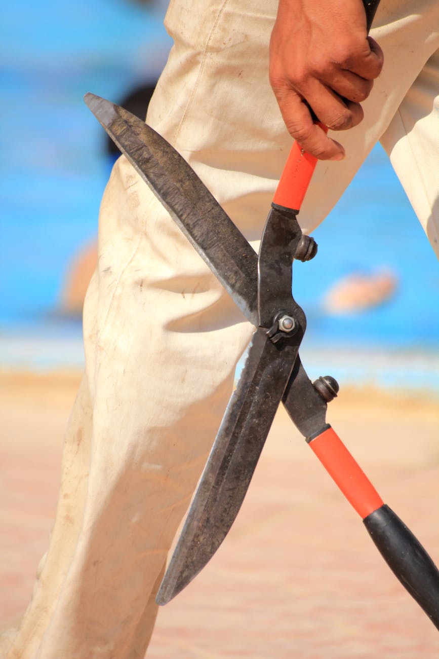 Boxpro Express lawn-care service in Yuba City, CA