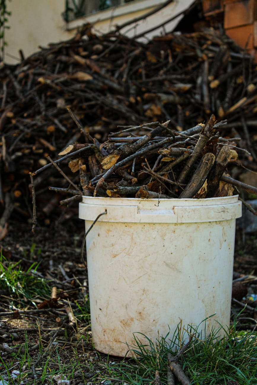 Yard debris removal in Yuba City by Boxpro Express for storm cleanup and lawn maintenance services