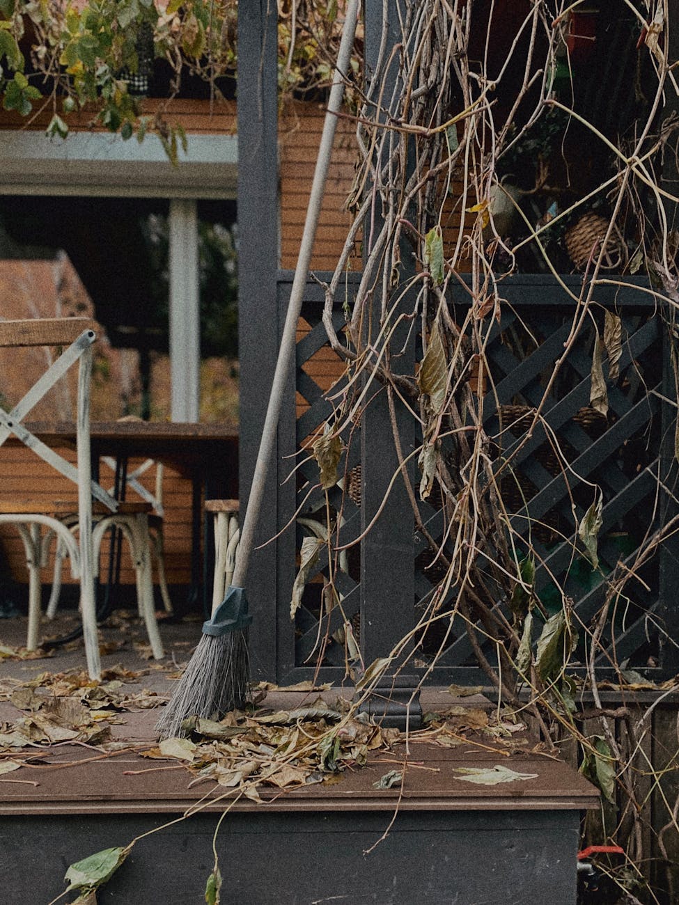 Fast Yard Cleanup Yuba City: Transform Your Outdoor Space in Just One Day in Yuba City