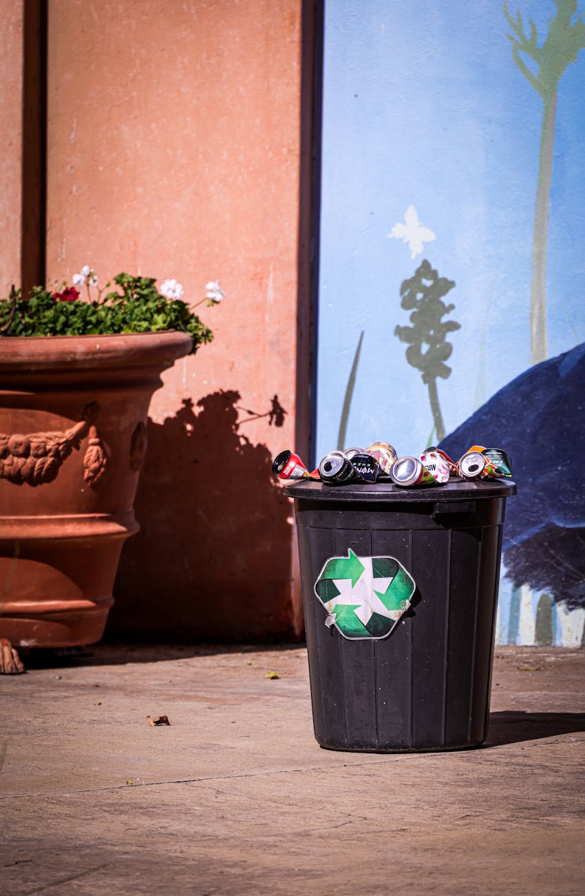 Free Yard Waste Disposal Yuba City: Spring Cleanup Made Easy in Yuba City