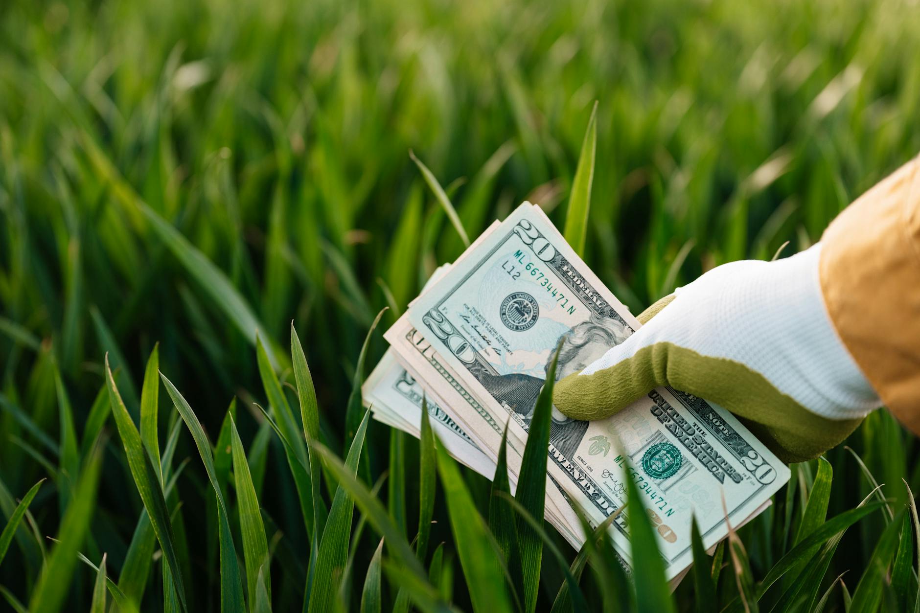 How Much Does Professional Lawn Mowing Really Cost in Yuba City? in Yuba City