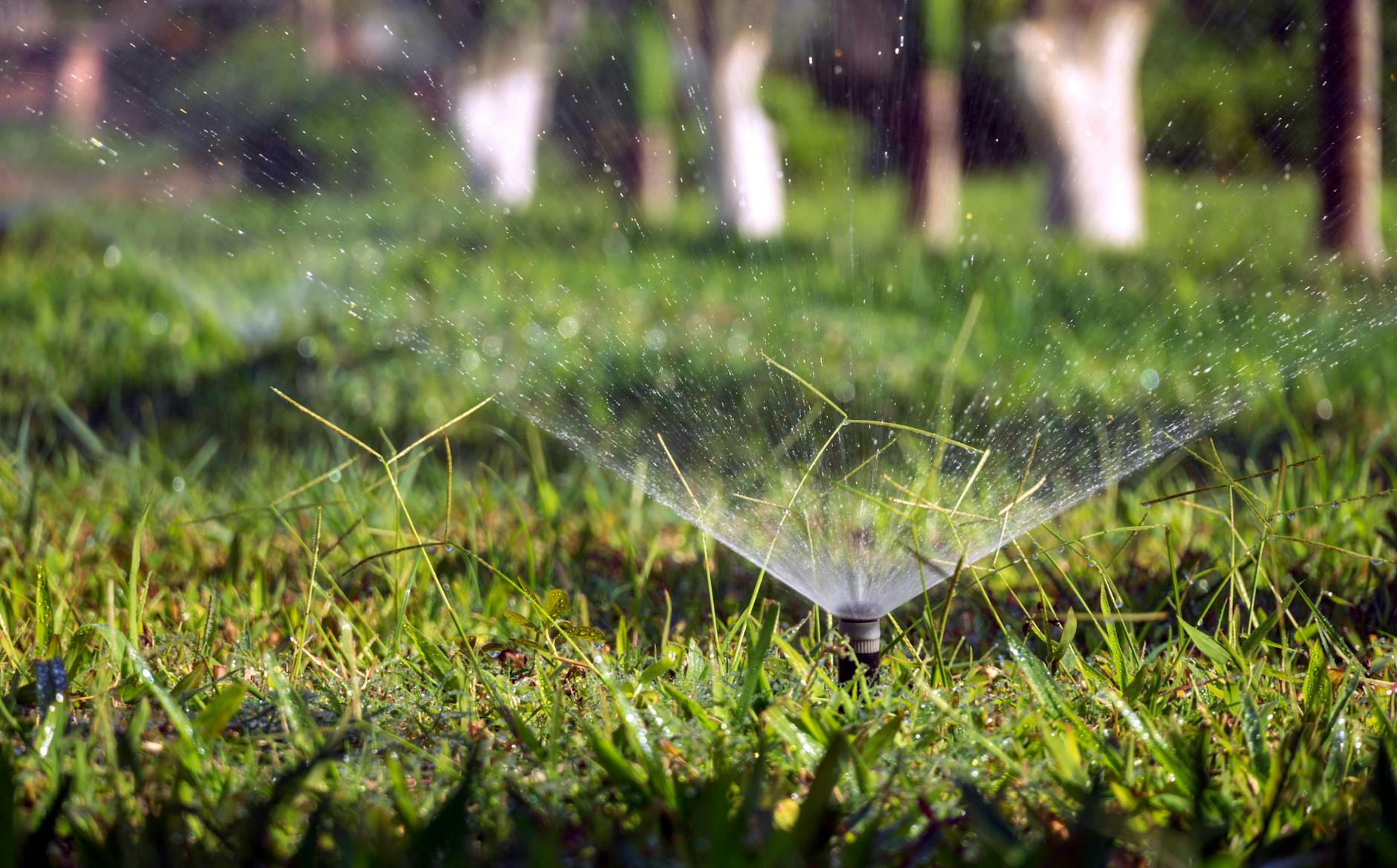 Boxpro Express lawn-care service in Yuba City, CA