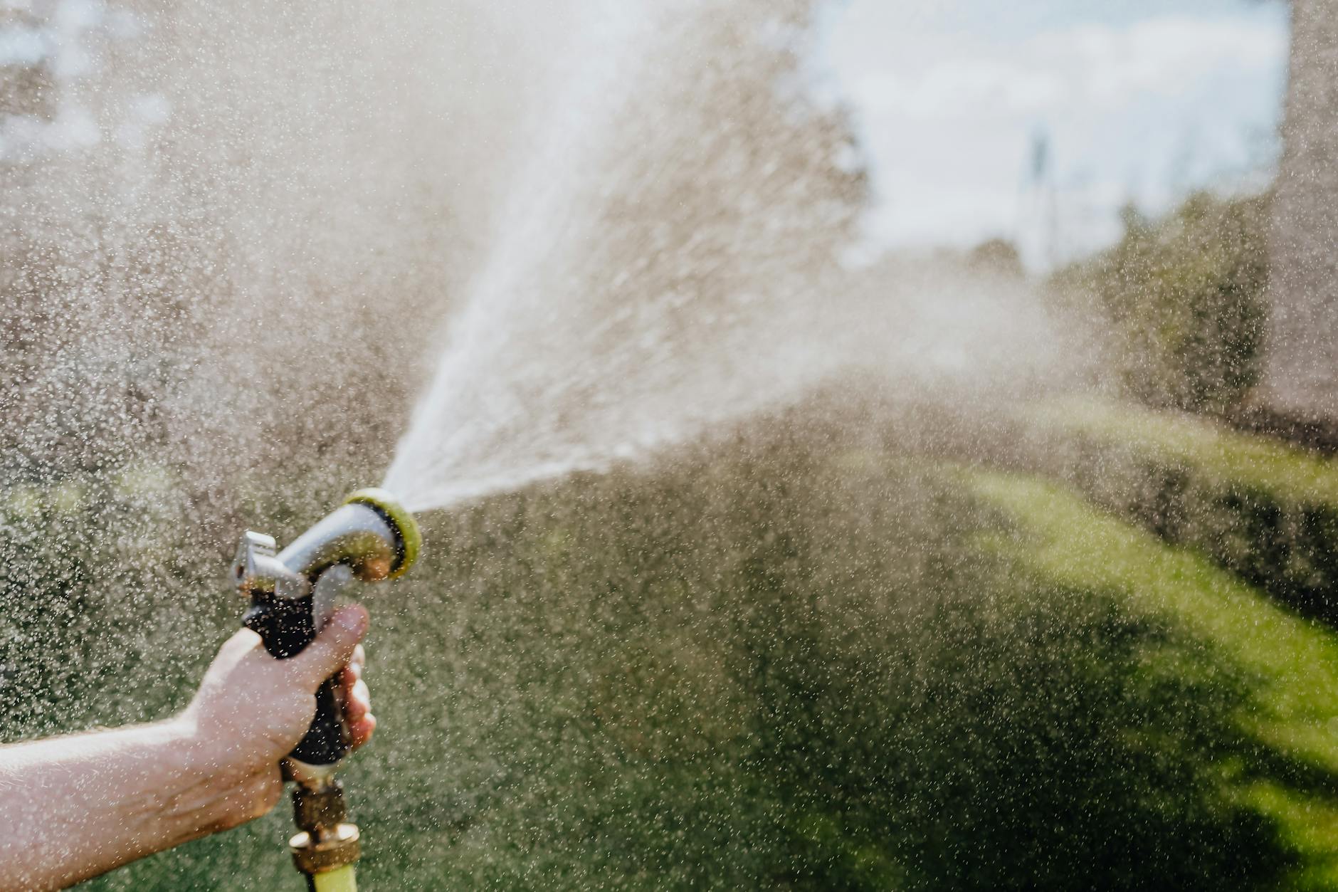 Boxpro Express lawn care services in Yuba City for water-efficient lawn maintenance