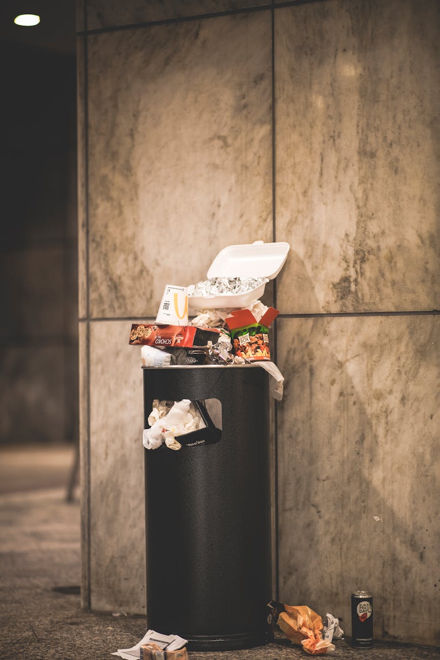 Boxpro Express junk-removal service in Yuba City, CA