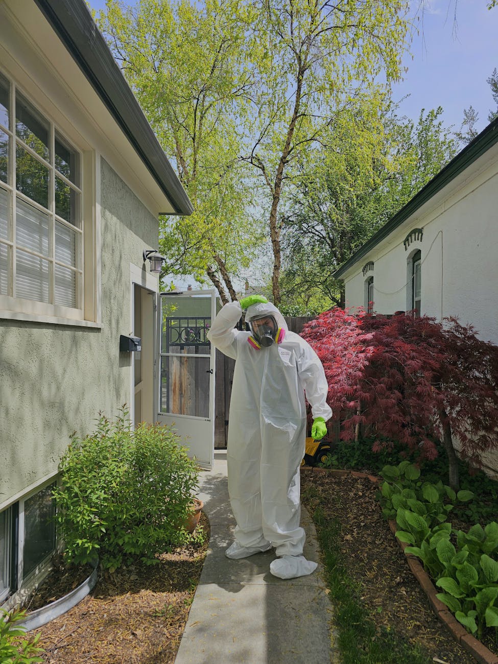 Junk Removal for Pest Control Yuba City: Protect Your Home in Yuba City