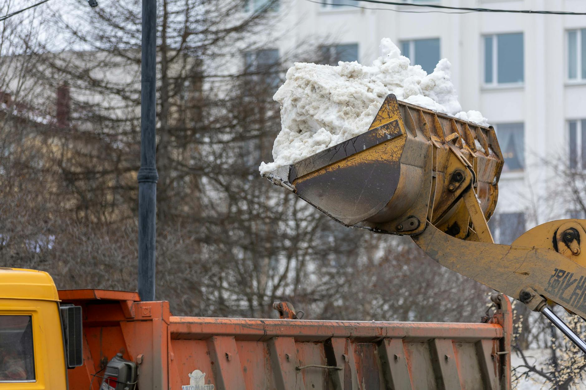Boxpro Express junk-removal service in Yuba City, CA