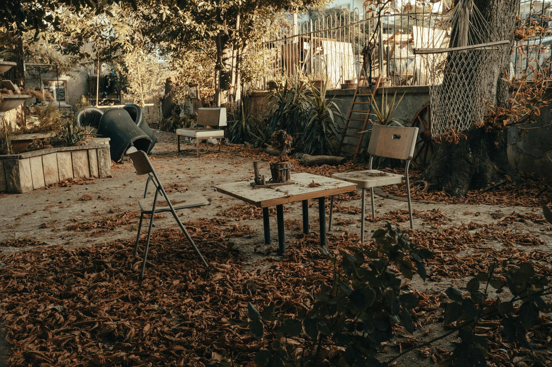 Affordable Junk Removal for Backyard Yuba City: Transform Your Outdoor Space in Yuba City