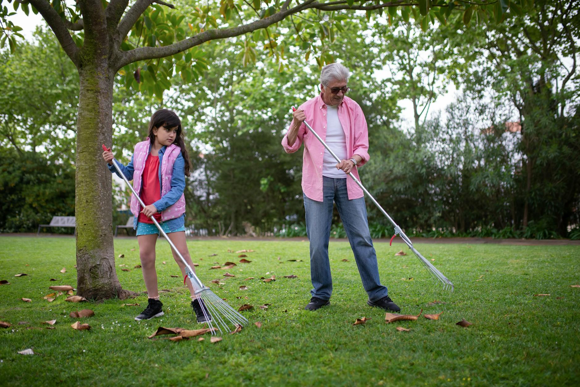 Spring Clean: Why Decluttering Your Yard Now Can Improve Air Quality in Yuba City in Yuba City