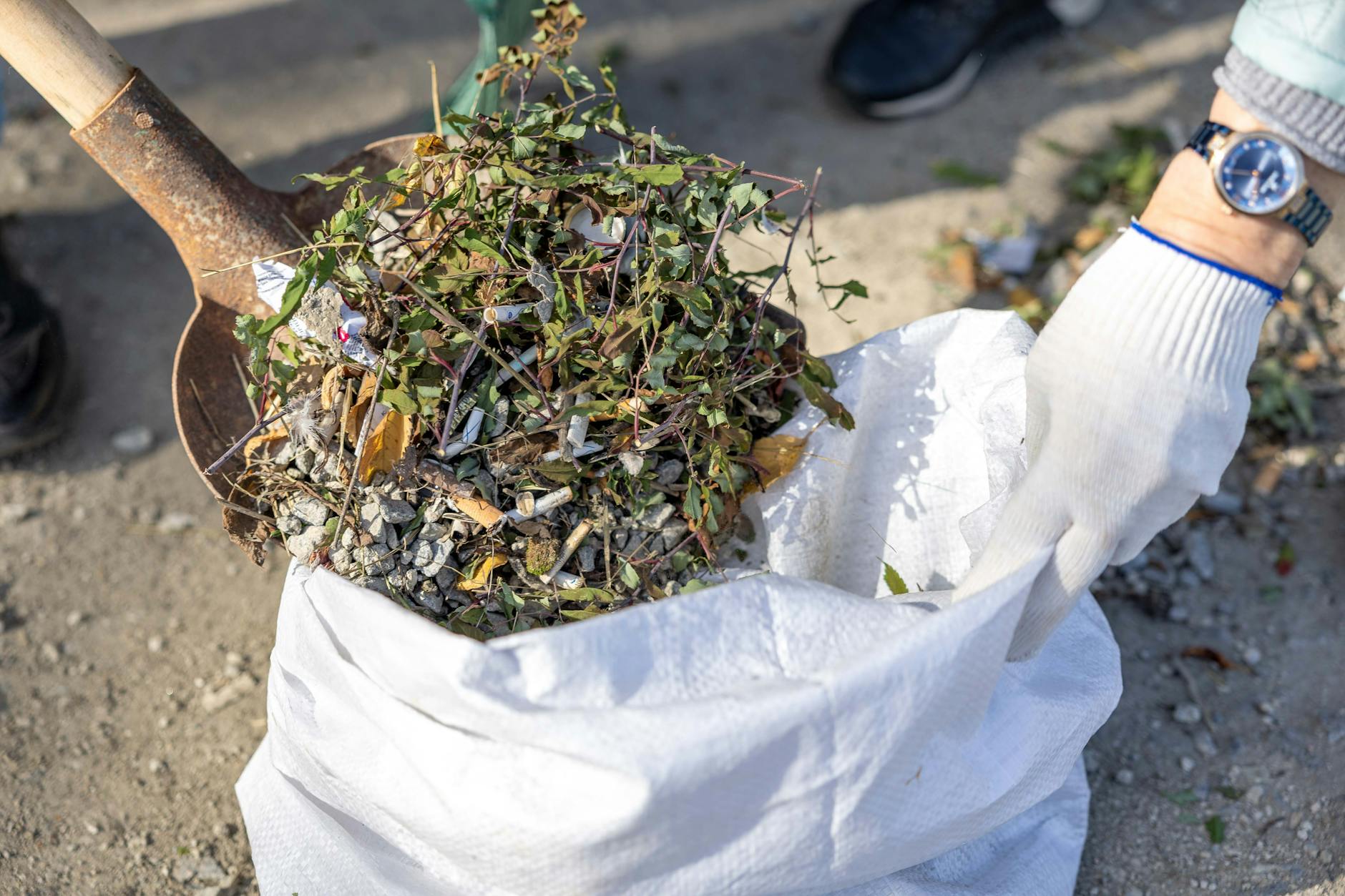 Boxpro Express junk-removal service in Yuba City