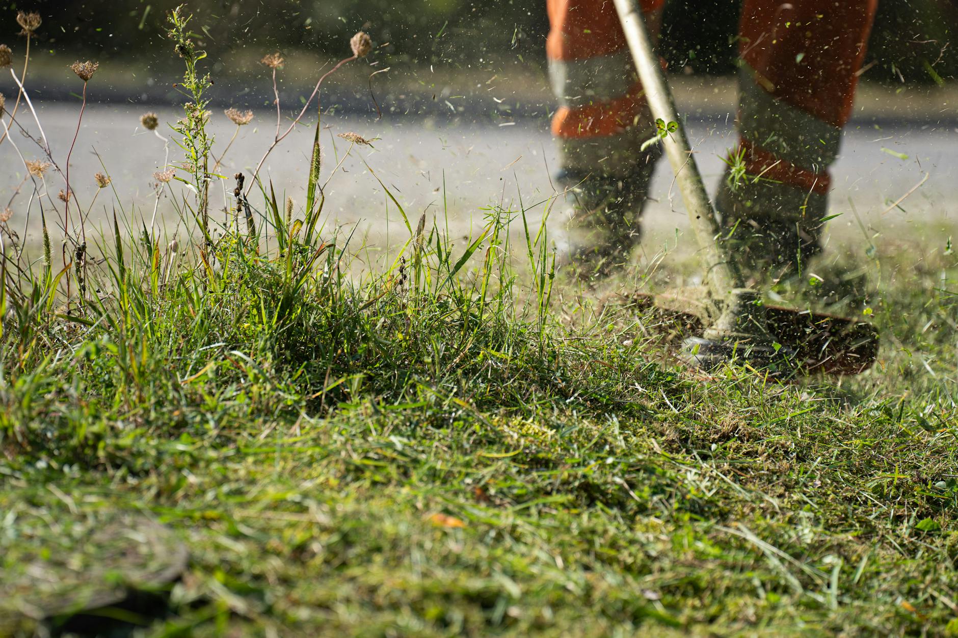Boxpro Express lawn-care service in Yuba City
