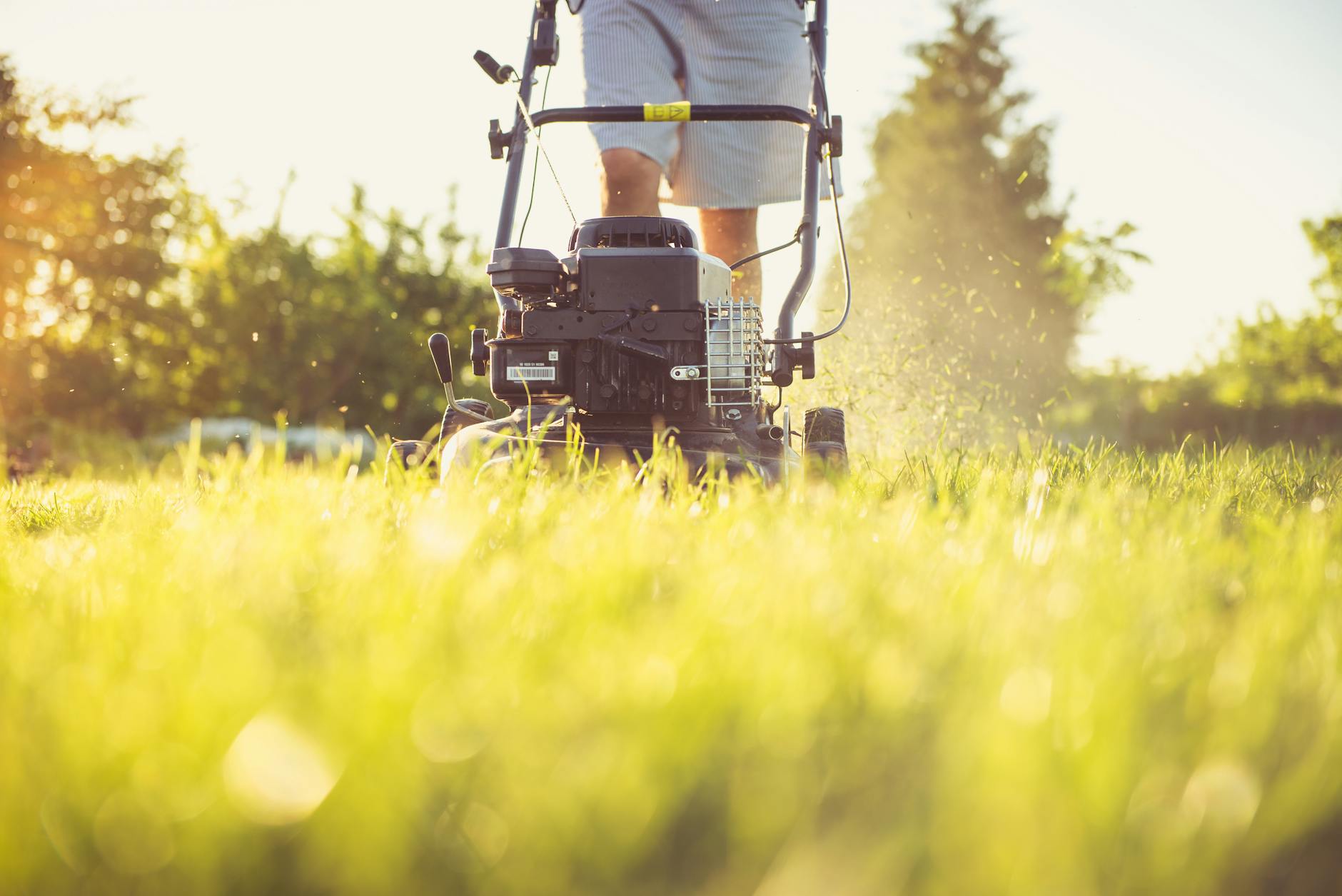 Why Your Yuba City Curb Appeal is Tanking While Your Neighbors' Lawns Look Like Golf Courses