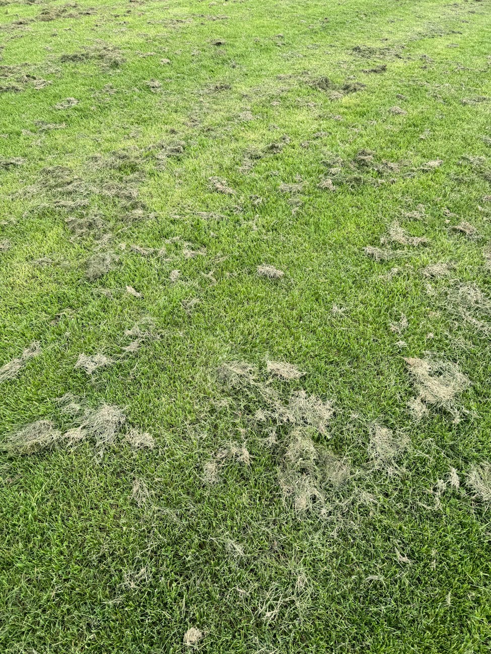 Boxpro Express lawn-care service in Yuba City