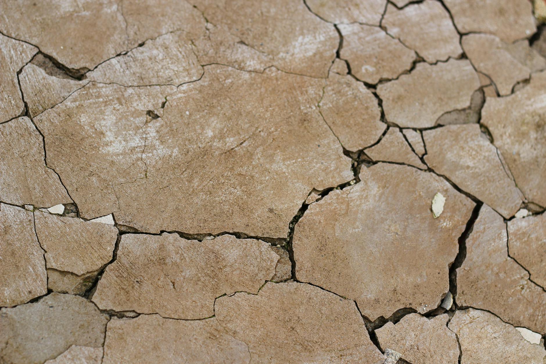 Why Yuba City Lawns Are More Prone to Drought Damage Than You Think in Yuba City