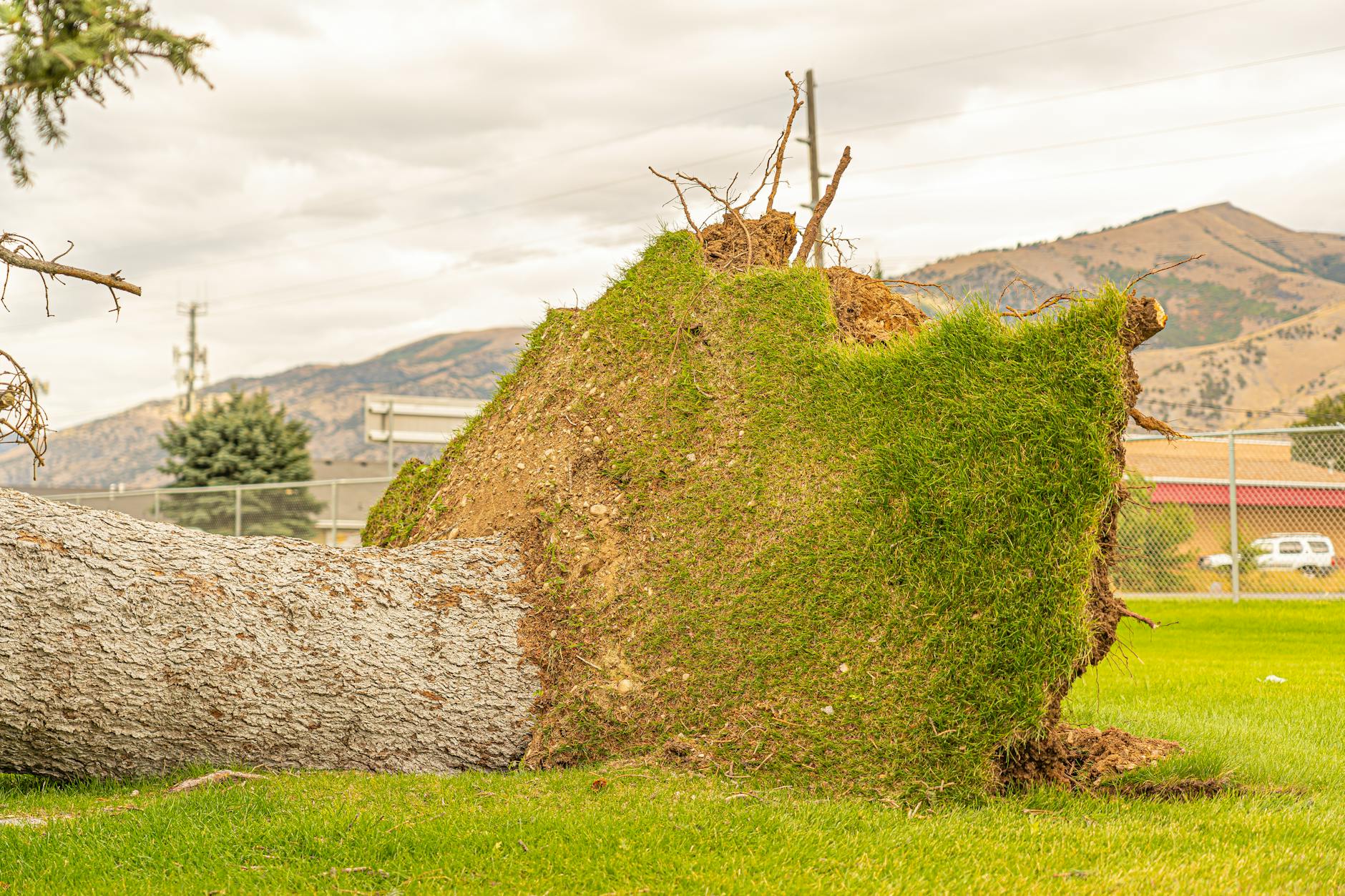 Why Yuba City Lawns Are More Prone to Drought Damage Than You Think