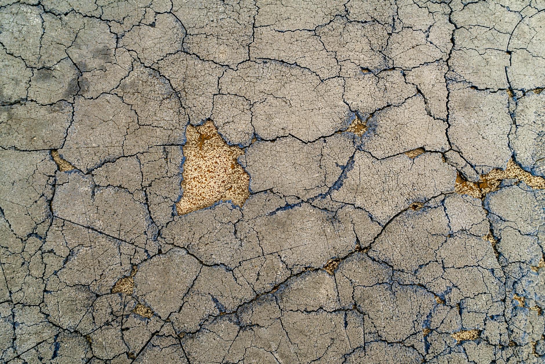 Why Yuba City Lawns Are Vulnerable to Drought Damage This Year in Yuba City