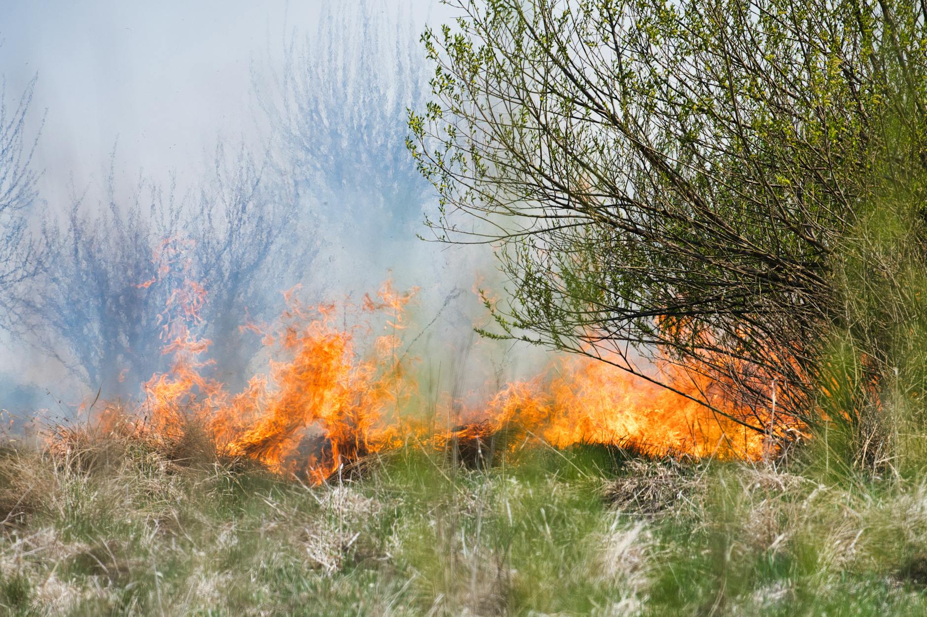 Why Yuba City’s Dry Climate Makes Junk Removal a Fire Hazard in Yuba City