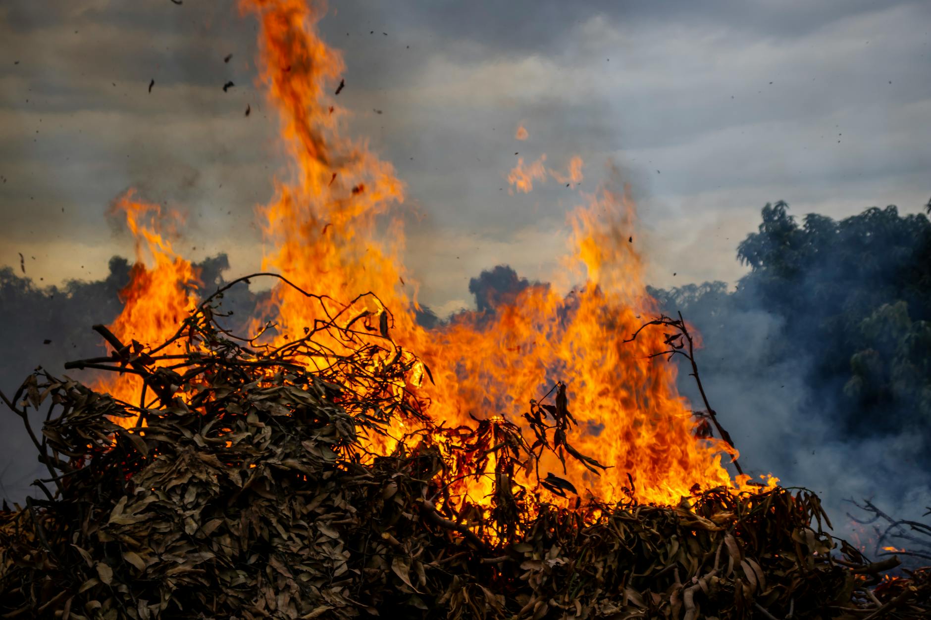 Why Yuba City's Fire Season Makes Junk Removal a Necessity in Yuba City